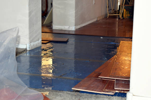 Professional Basement Flood Cleanup technician working in Fredonia, WI